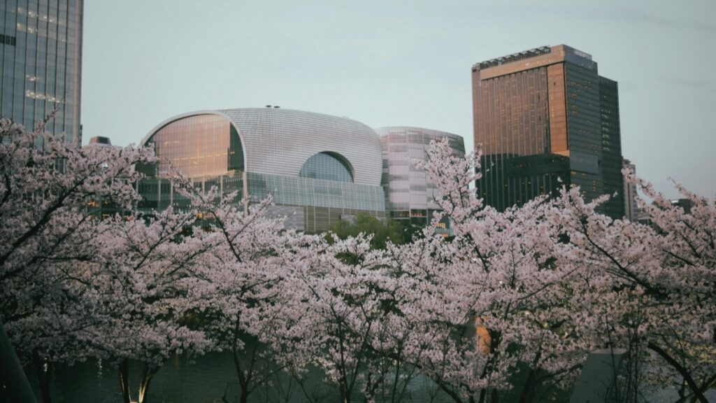 Cum pot colabor Moldova Twitter bloggerii cu advertiserii din Serbia în 2025