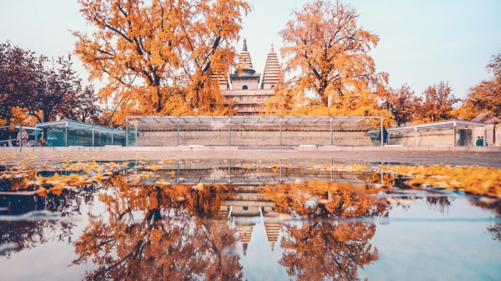 Cum pot bloggerii TikTok din Moldova colabora cu advertiserii din UK în 2025