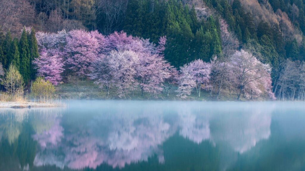 How Moldova YouTube Bloggers Can Collaborate with Sweden Advertisers in 2025