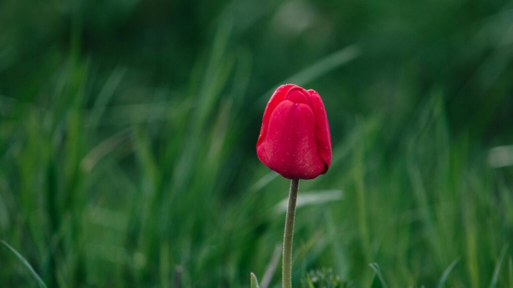 How Moldova Pinterest Bloggers Can Collaborate with Belarus Advertisers in 2025