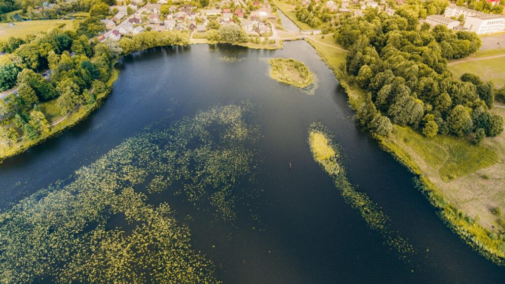 How Moldova Twitter bloggers can collaborate with Turkey advertisers in 2025