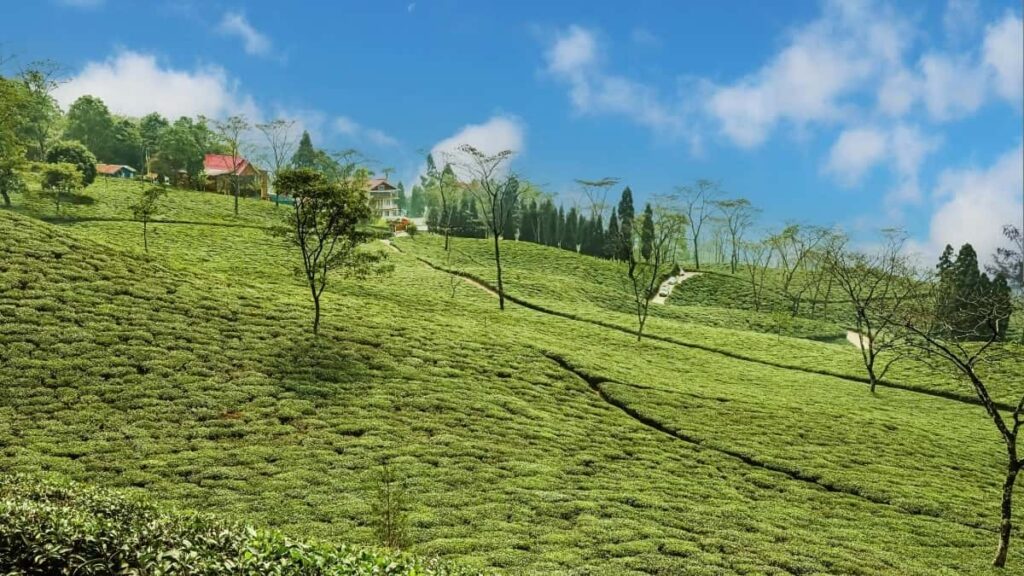 2025 United States Telegram AllCategory Advertising Rate Card pentru Moldova