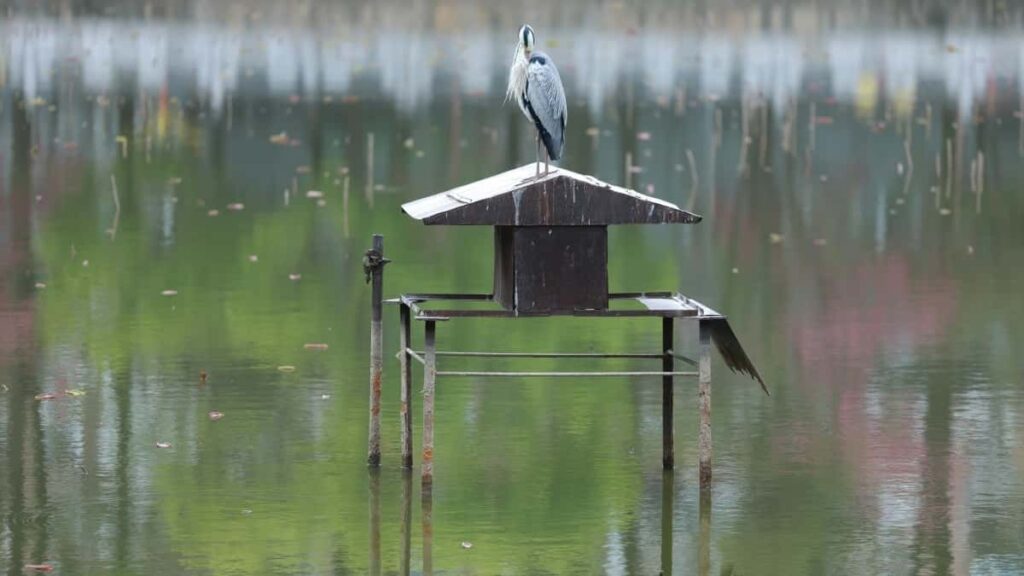 Tarifarile Publicitare Instagram in Regatul Unit pentru 2025