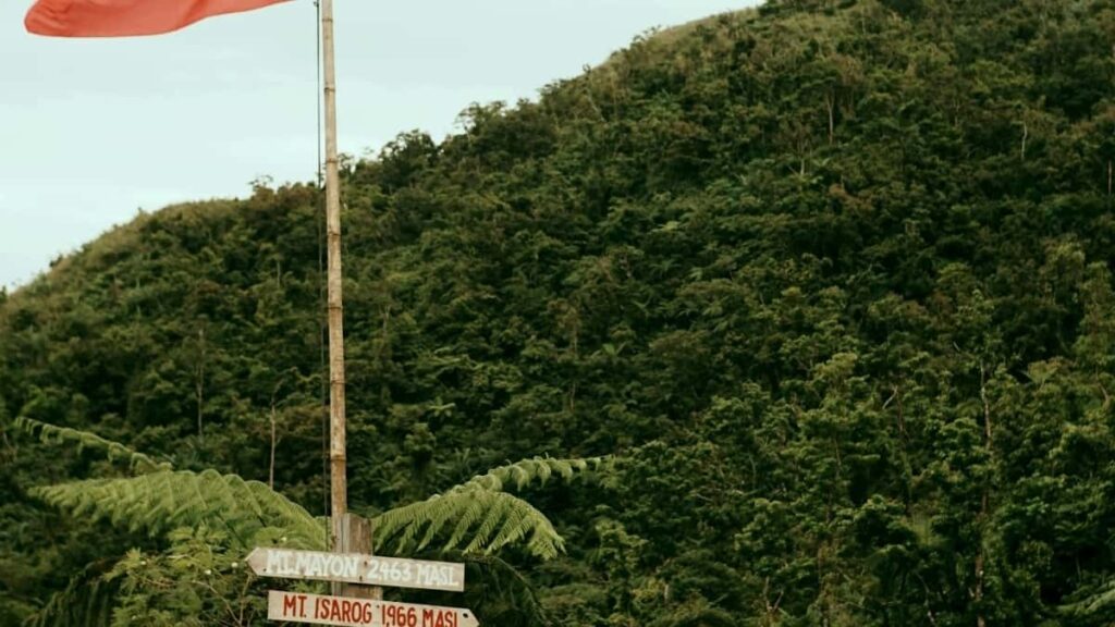 2025 Tarife Publicitare LinkedIn în Olanda pentru Moldova