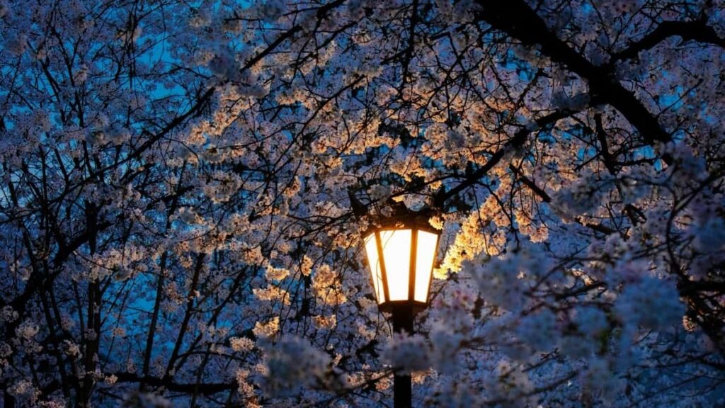 Ratele Actualizate pentru Publicitatea Pinterest în Brazilia 2025