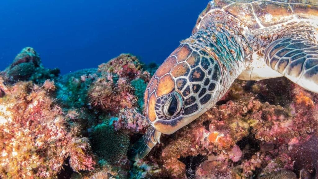 Tarife Publicitate Instagram Norvegia 2025 Pentru Moldova