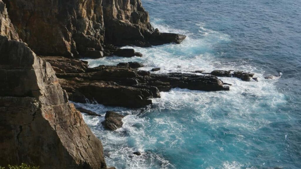 2025 Brazil TikTok Tarife Publicitare pentru Moldova