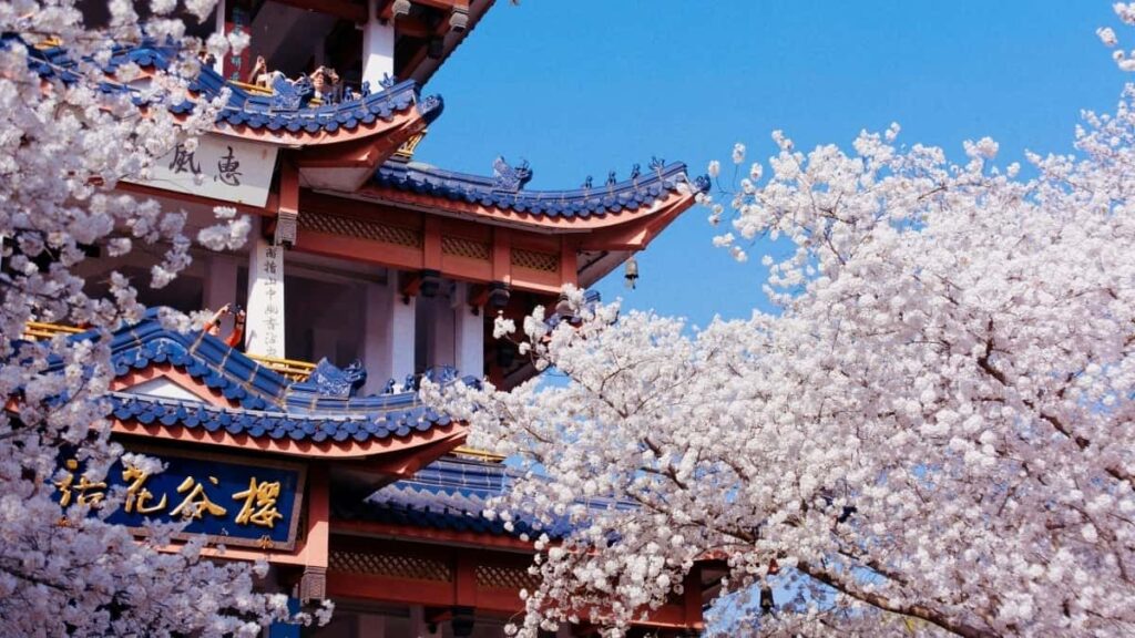 2025 Sweden Instagram tarife publicitare pentru Moldova