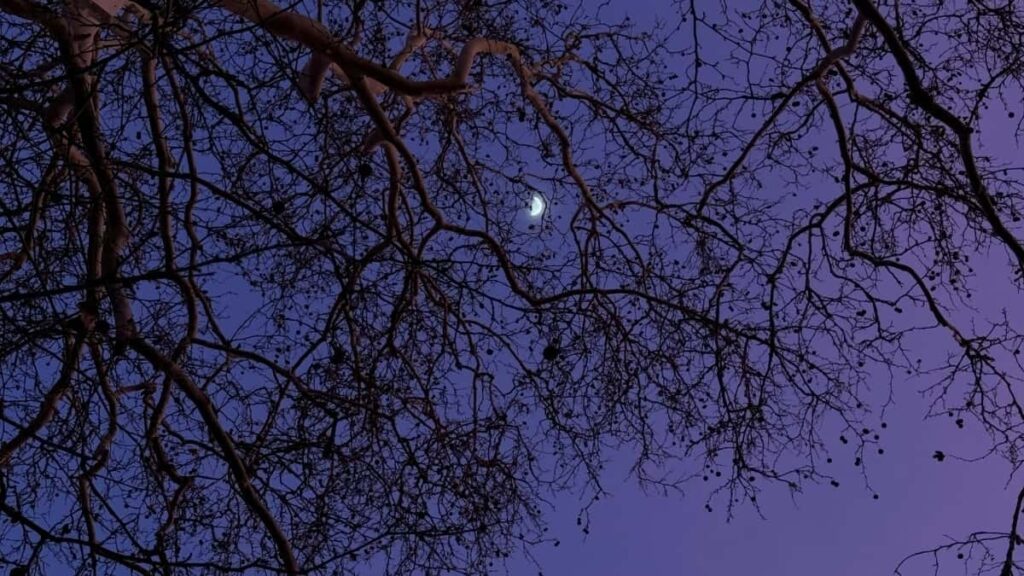 2025 Austria Instagram Tarife Publicitare Pentru Moldova