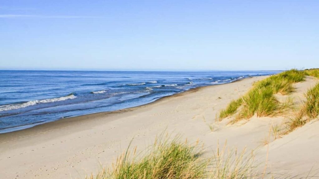 2025 Portugal YouTube Rate Card pentru Moldova advertiseri