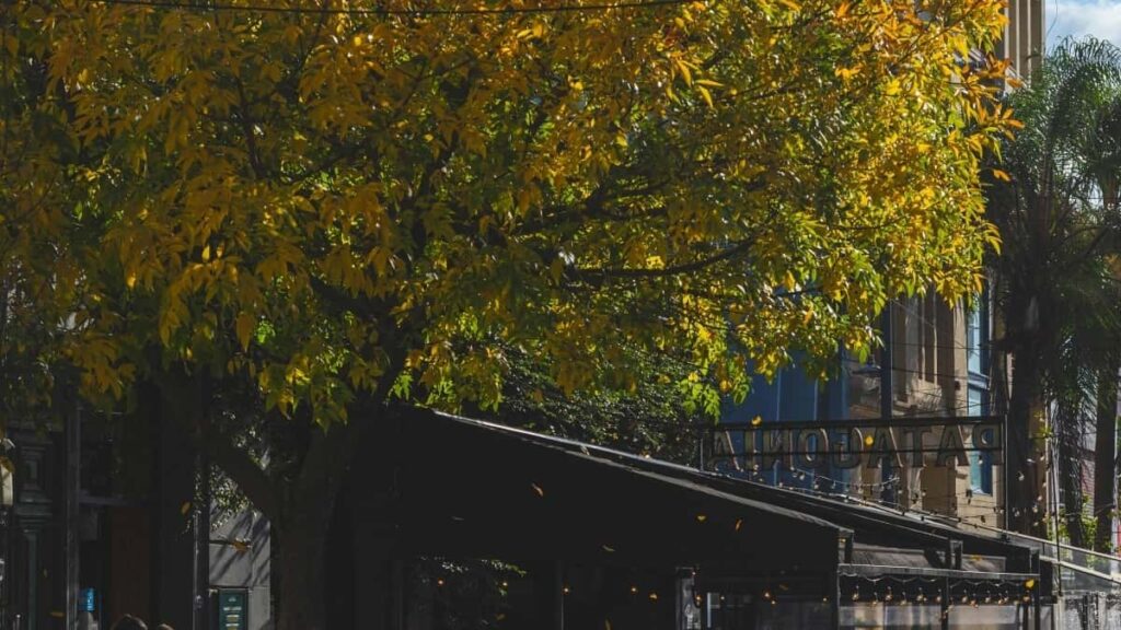 2025 Italia TikTok tarife publicitare pe toate categoriile pentru Moldova