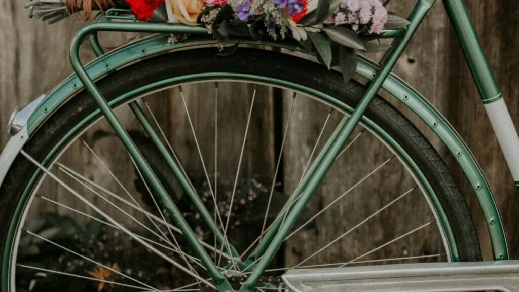 2025 Tarife Publicitare WhatsApp pentru Piața Elveției din Moldova