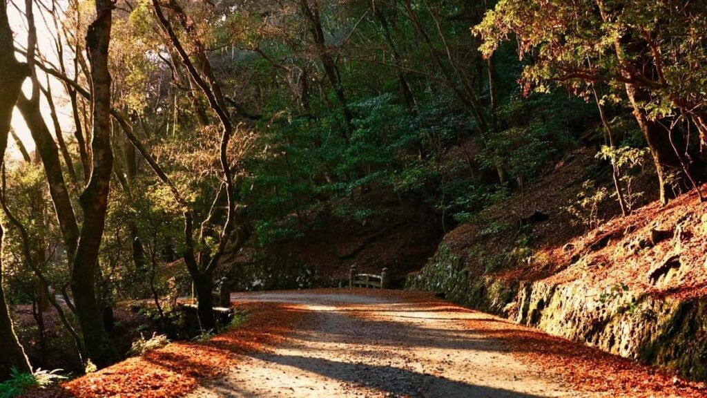 2025 tarife publicitate WhatsApp în Republica Cehă pentru piața din Moldova