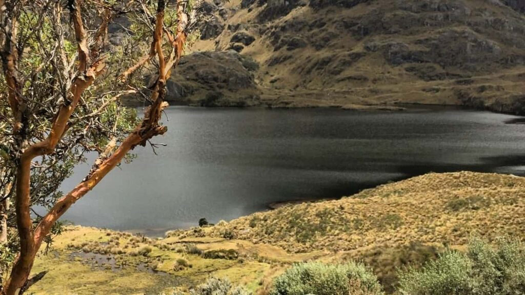 Tarifele publicitare LinkedIn Israel 2025 pentru Moldova