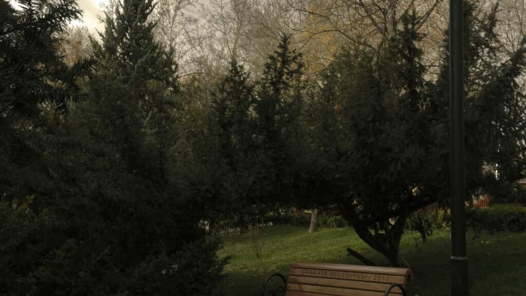 Tariful publicitar Twitter Japonia 2025 pentru Moldova