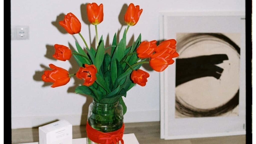 Tariful publicității Twitter în Moldova pentru 2025 tot ce trebuie să știi