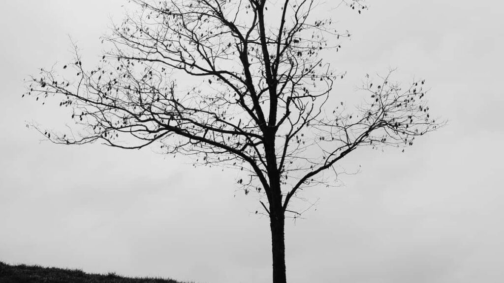 Tarife Publicitate Instagram Austria 2025 pentru Piața Moldova