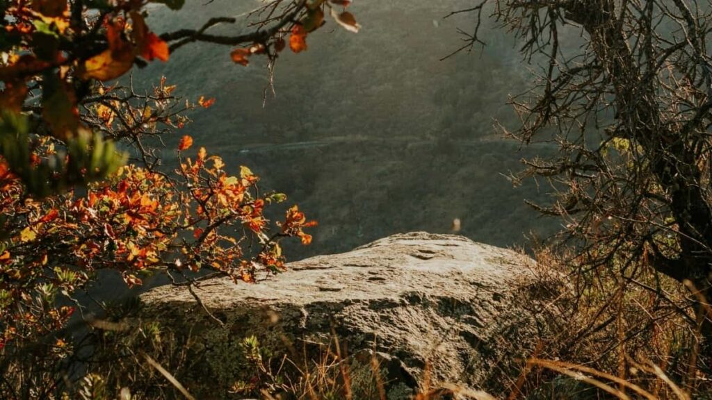 2025 Russia Instagram Tarife Publicitare Pentru Moldova