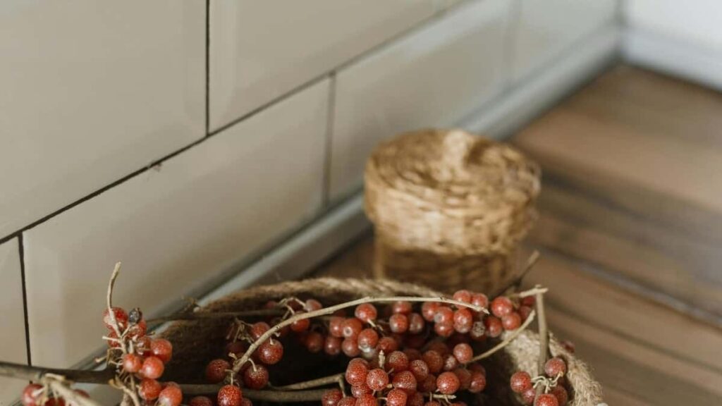 2025 Spain Twitter Tarife Publicitate Pentru Moldova