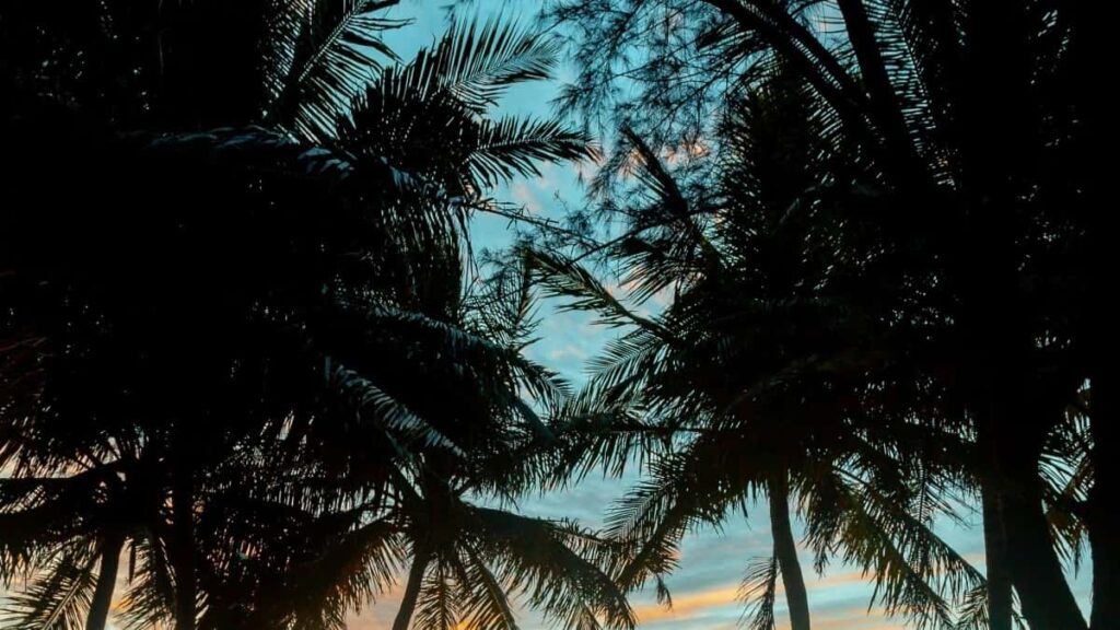 2025 Tarife Publicitate WhatsApp în Republica Cehă pentru Moldova