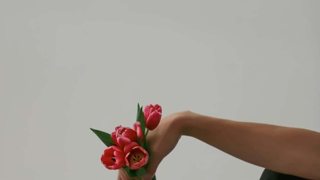 2025 tarife publicitate TikTok Republica Cehă pentru toate categoriile