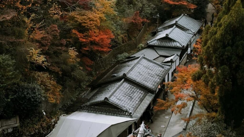 2025 Norway WhatsApp Advertising Rate Card pentru Moldova