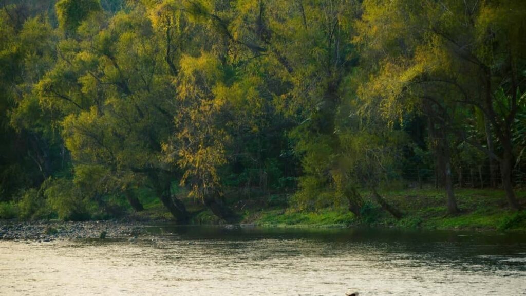 Tarife Publicitare Instagram Republica Cehă 2025 pentru Moldova