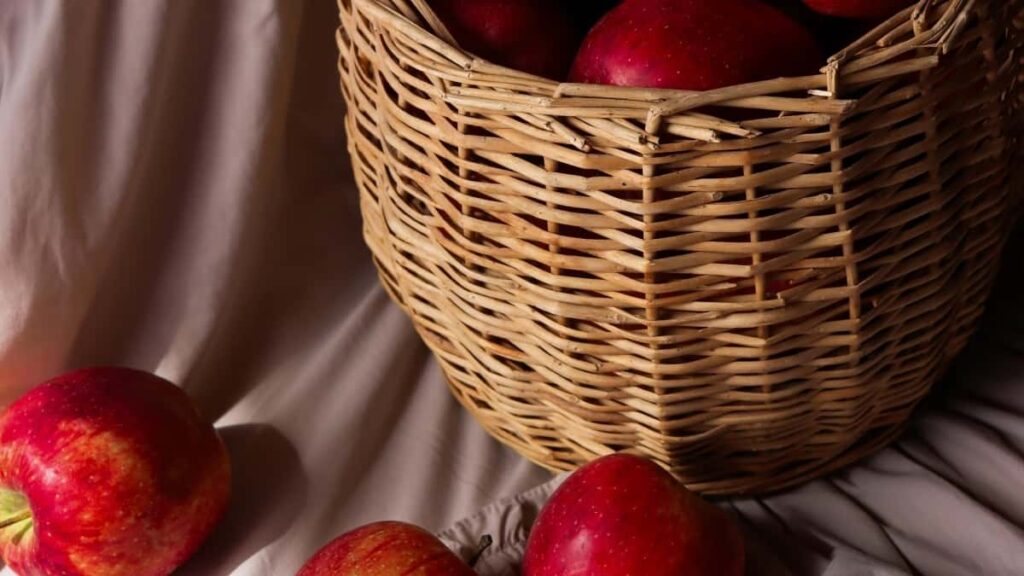 2025 United States TikTok toate categoriile tarife publicitare