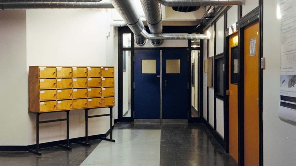 2025 Tarife Publicitate Instagram Emiratele Arabe Unite Pentru Moldova