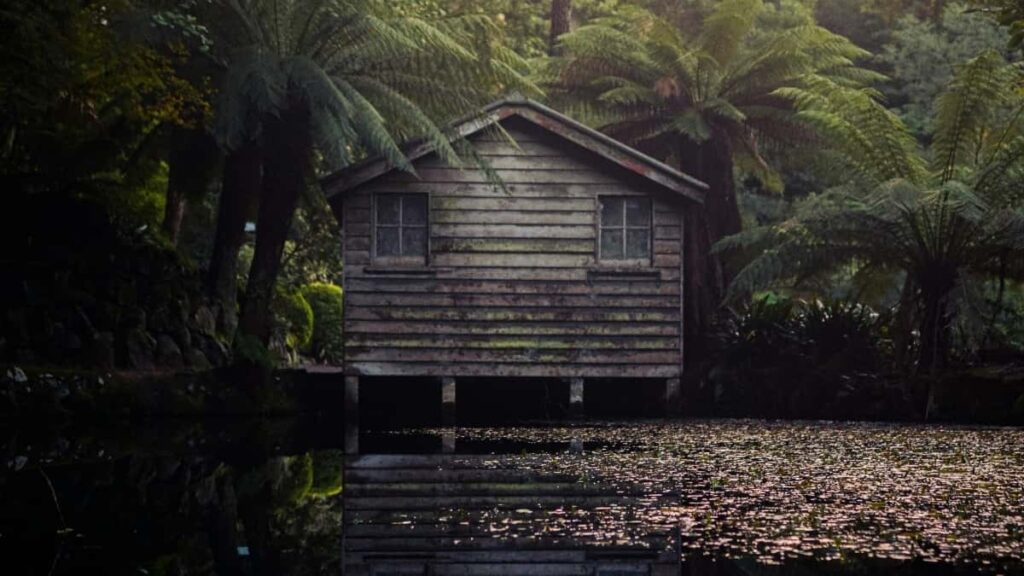 2025 France TikTok Tarife Publicitare Complecte pentru Moldova