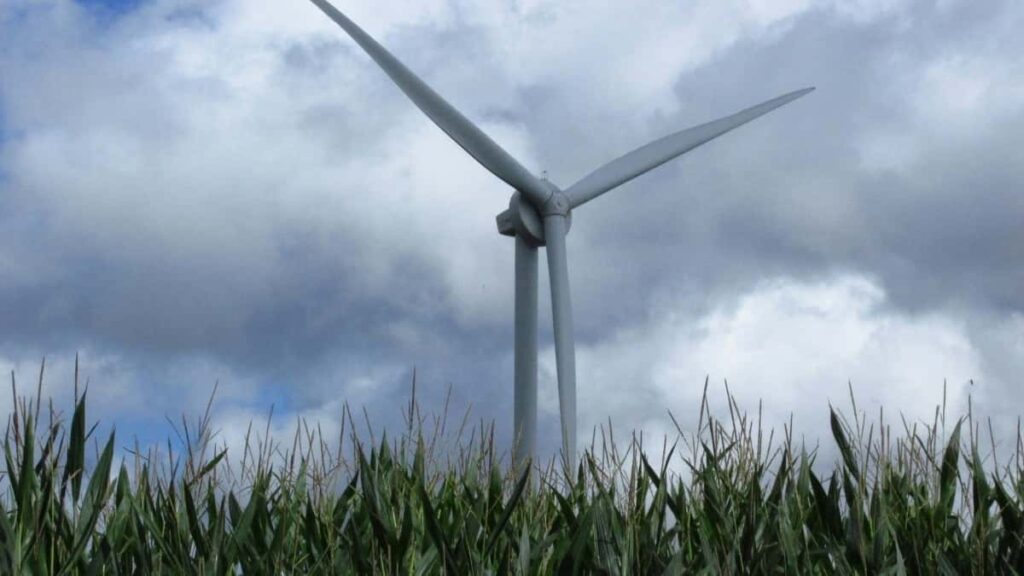 Tarifele publicitare Pinterest India pentru Moldova în 2025