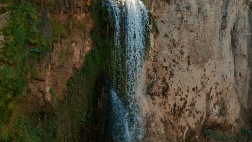 2025 Netherlands TikTok tarife publicitare pentru Moldova