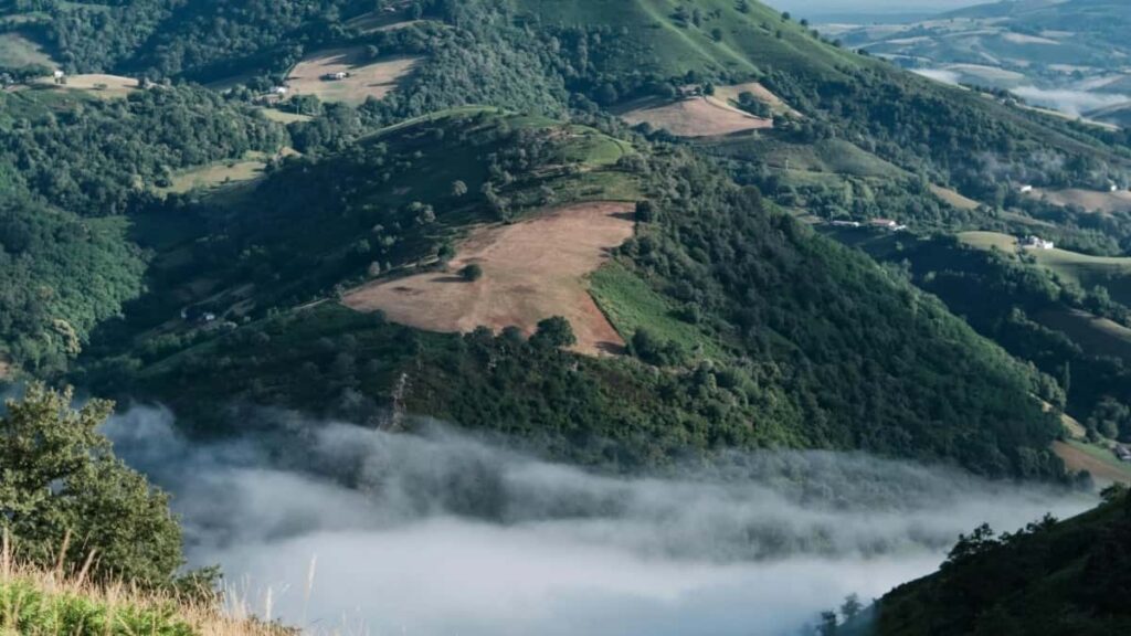 2025 Tarife Publicitare LinkedIn Turcia pentru Piața Moldova