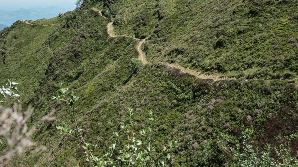 2025 Polonia Tarife Publicitate WhatsApp pentru Piața Moldova