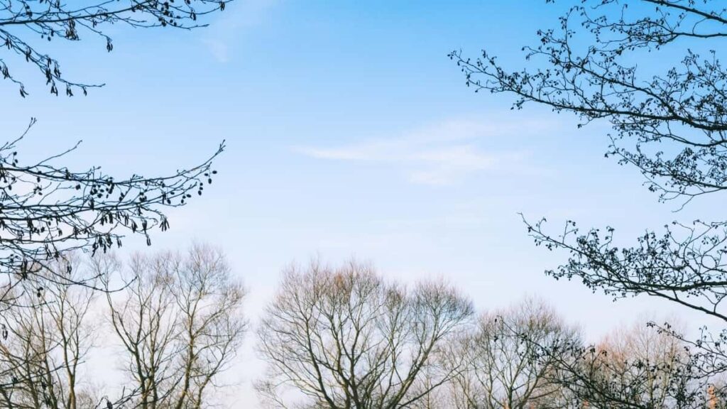 2025 Switzerland Pinterest tarife publicitare pentru toate categoriile