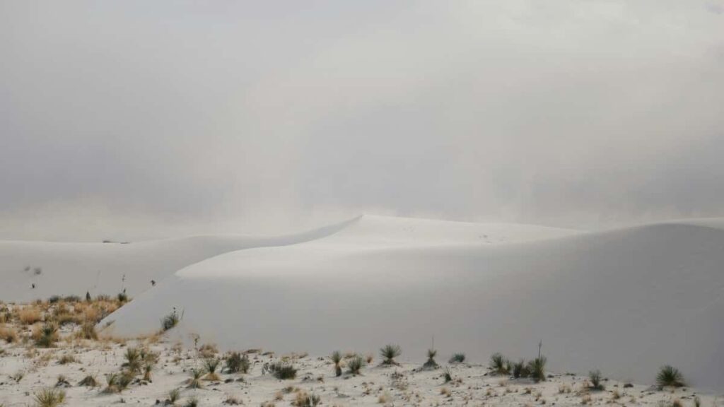 2025 Tarife Publicitate Twitter în Statele Unite pentru Moldova