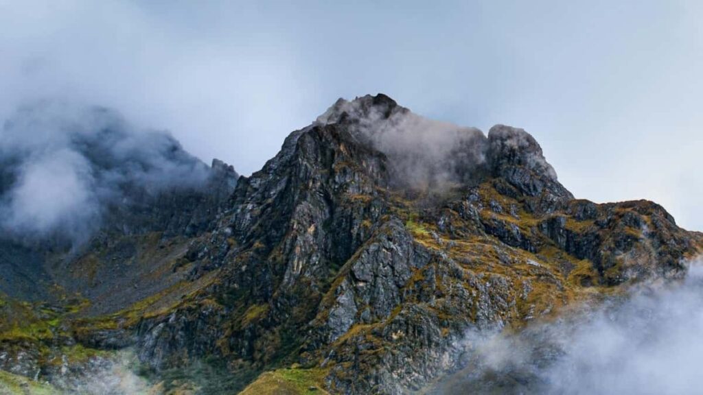 2025 Canada YouTube tarife publicitate pentru toate categoriile