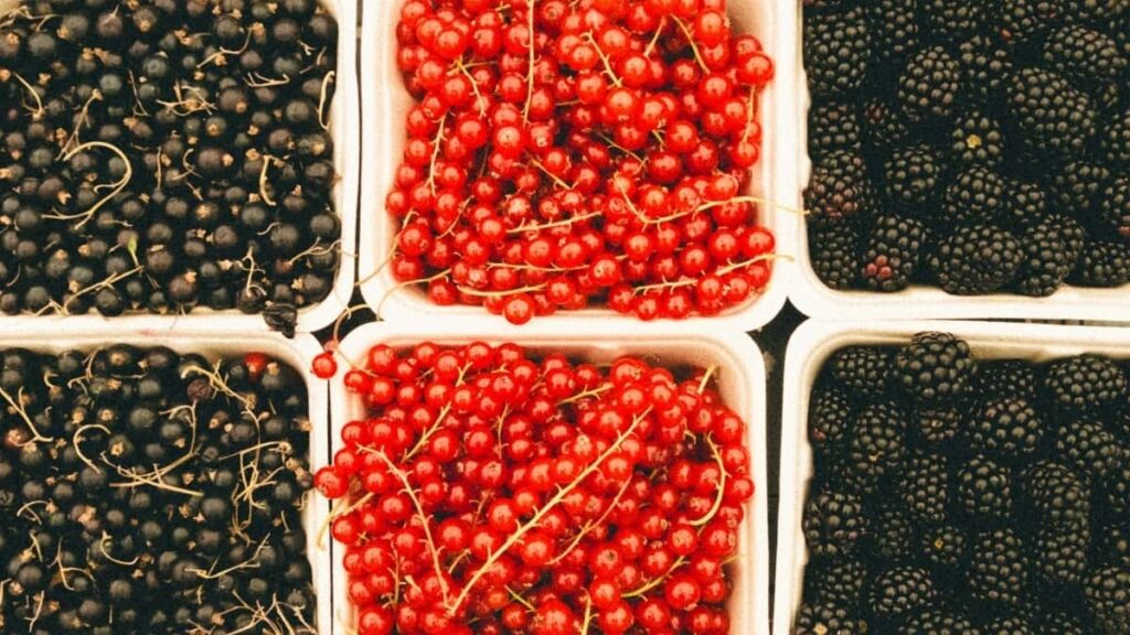 2025 Romania Twitter tarife publicitate pe categorii actualizat