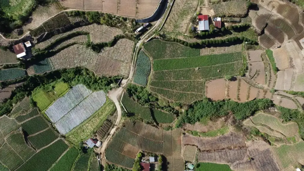 Descoperă cum brandul Bilibili din Spania promovează vânzările speciale și ce strategii poți aplica în Moldova.