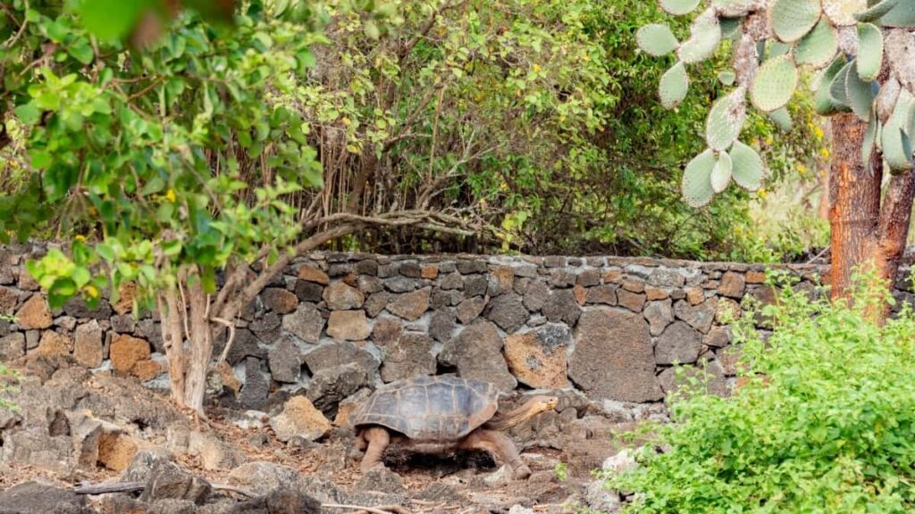 Creatori din Moldova, iată cum să vă alăturați sesiunii de training influencer în Slovenia, să creșteți pe Facebook și să vă extindeți audiența.