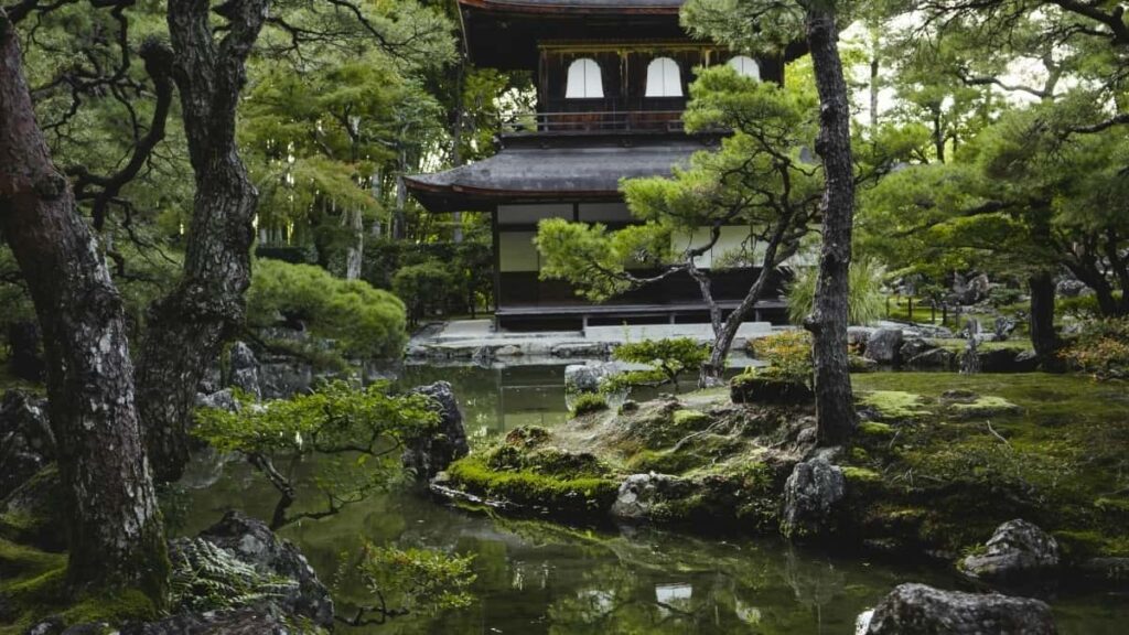 Ghid practic pentru creatorii din Moldova care vor să aplice la programul de afiliere Josh și să-și crească veniturile online.