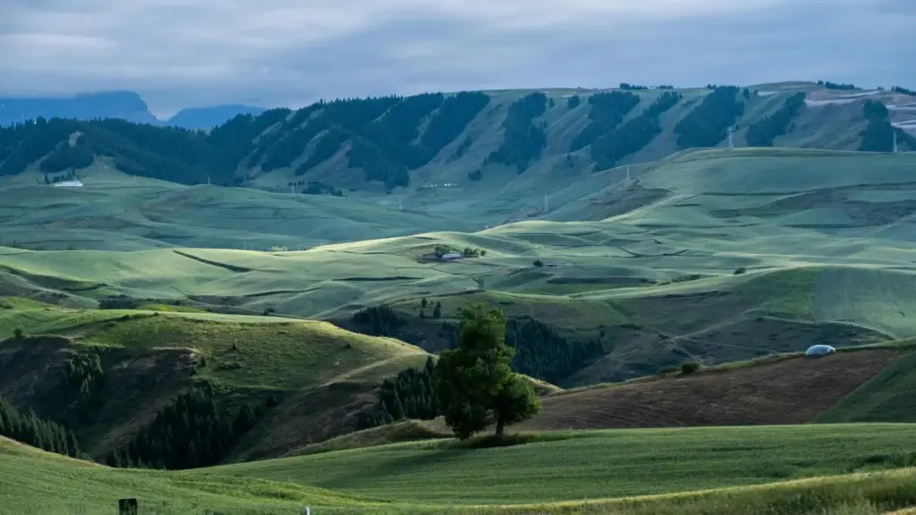 Află cum creatorii din Moldova pot accesa branduri tunisiene pe Netflix pentru oferte exclusive de produs.