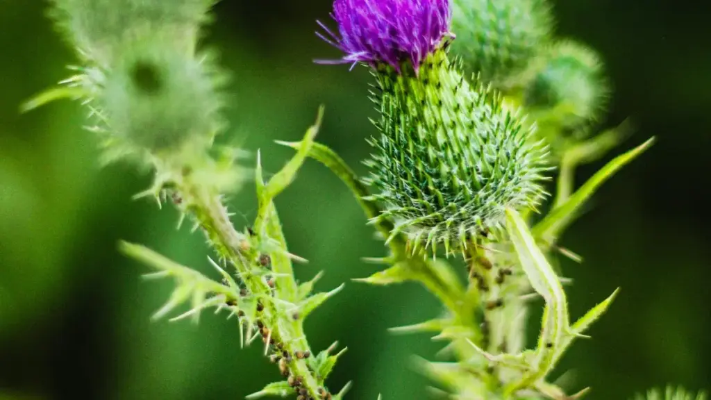 Ghid practic pentru creatorii din Moldova: cum găsești și contactezi branduri din Estonia pe Jingdong ca să obții mostre gratuite.