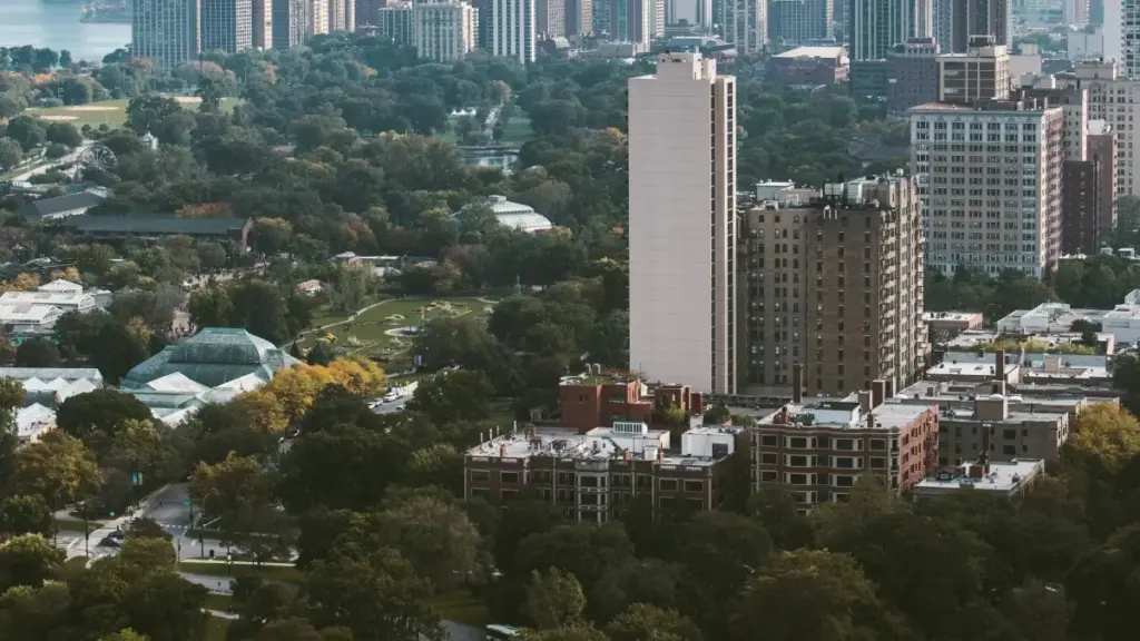 Ghid practic pentru creatori din Moldova despre cum să contactezi branduri olandeze pe Telegram și să colaborezi cu bordurile de turism.