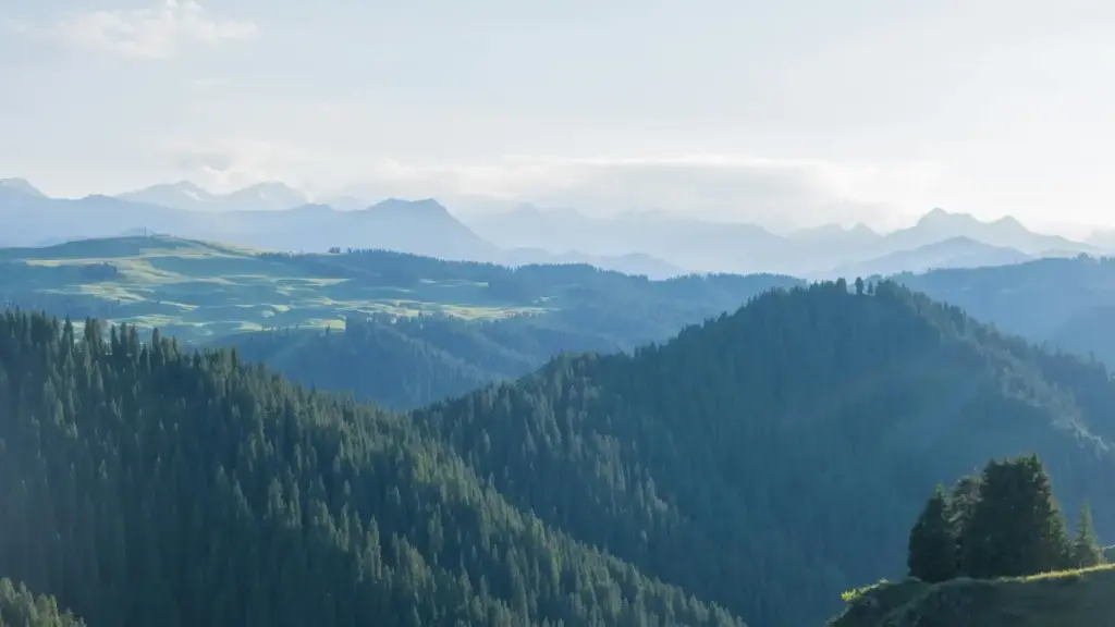 Ghid practic pentru creatorii din Moldova: cum să contactezi brandurile slovace pe Reddit și să-ți monetizezi canalele.