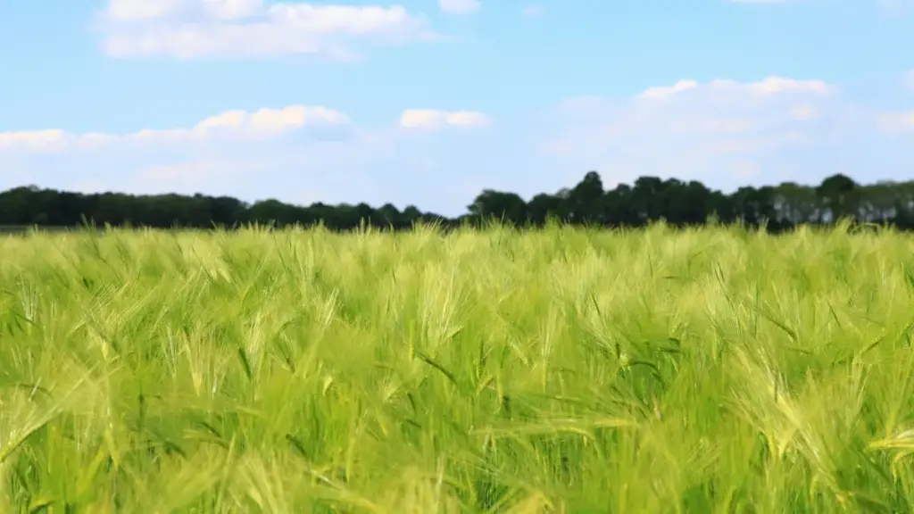 Ghid practic pentru advertiserii din Moldova: cum găsești creatori vkontakte din Iordania pentru product seeding, outreach sigur și ce riscuri să eviți.