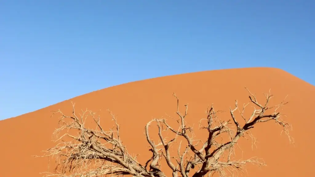 Ghid practic pentru advertiserii din Moldova: cum găsești creatori din Coreea de Sud care folosesc/colaborează cu LINE pentru drops co‑branded, ce riscuri IP ai și ce tactici funcționează în 2025.