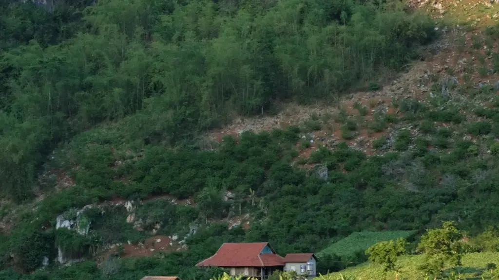 Ghid practic pentru advertiserii din Moldova: cum identifici, contactezi și protejezi colaborările cu creatori din Rusia pentru product seeding, cu riscuri legale și tacticile care funcționează în 2025.