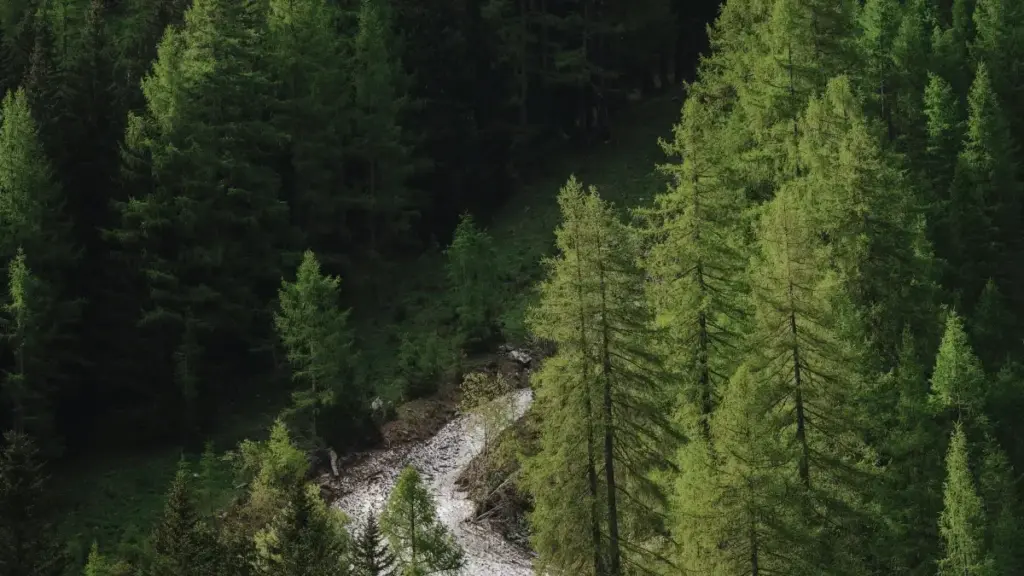 Ghid practic pentru advertiserii din Moldova: cum să identifici și să colaborezi cu creatori români pe Bilibili pentru lansări de produse și parteneriate cu top creators.