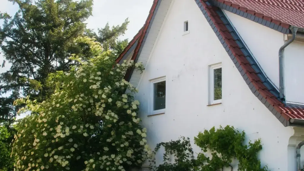 Sfaturi practice pentru advertiserii din Moldova despre cum să colaboreze cu creatori Instagram din Bosnia și Herțegovina pentru recenzii reale.